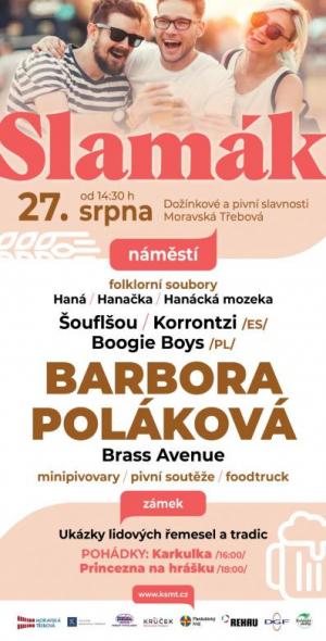 slamák